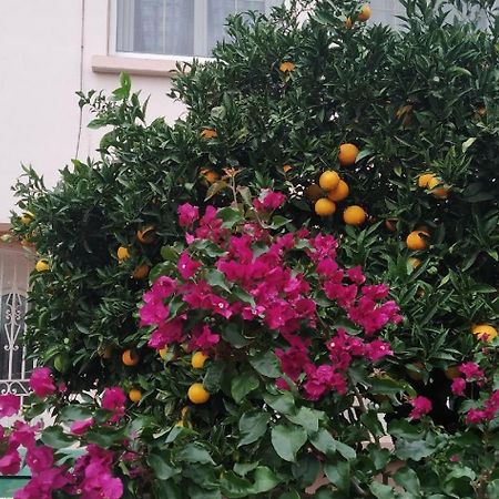 Chambres Tout Confort,Gare Tgv ,Wifi,Clim, Parking,Pt Dejeuner Perpignan Exterior foto