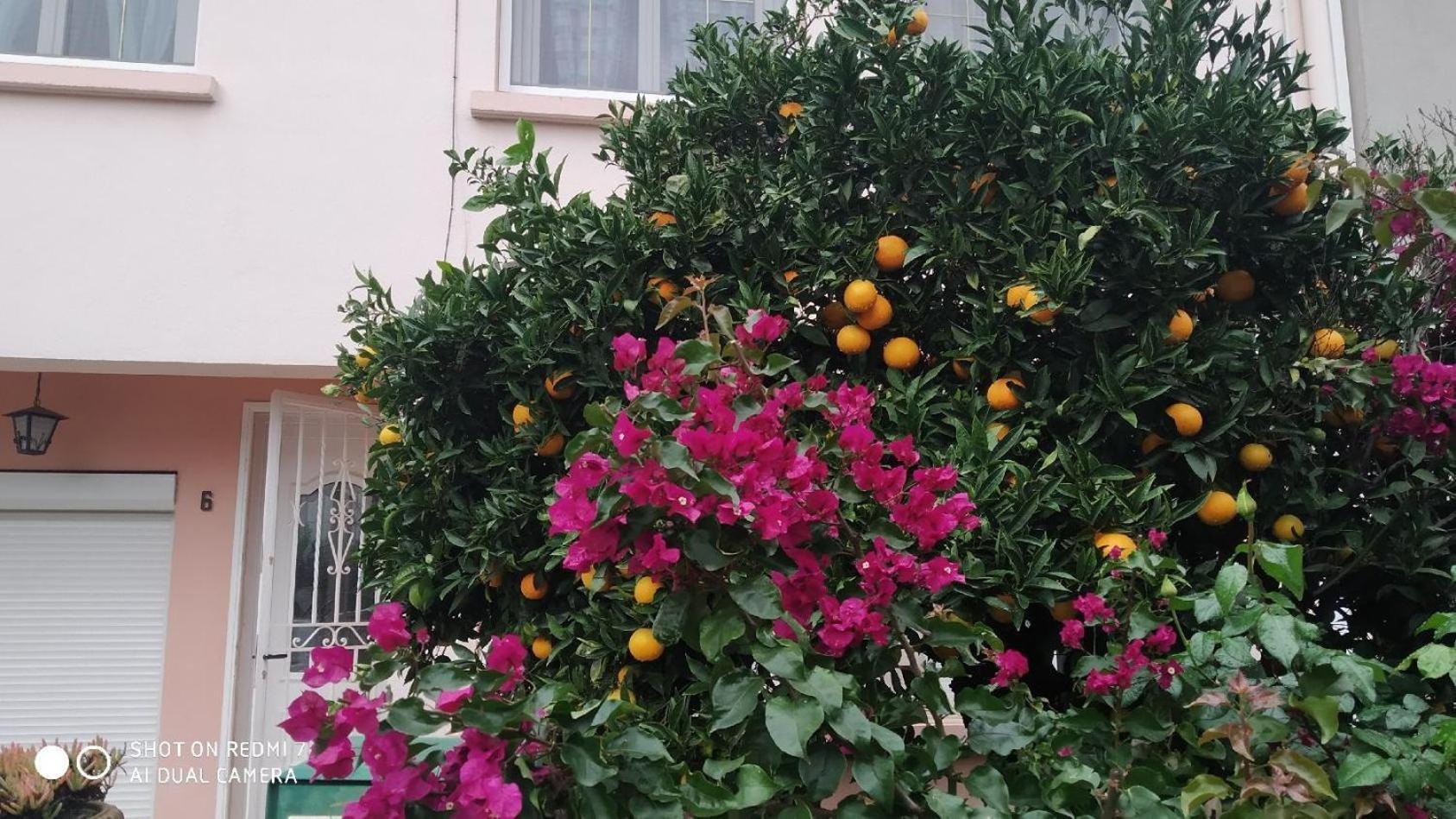 Chambres Tout Confort,Gare Tgv ,Wifi,Clim, Parking,Pt Dejeuner Perpignan Exterior foto